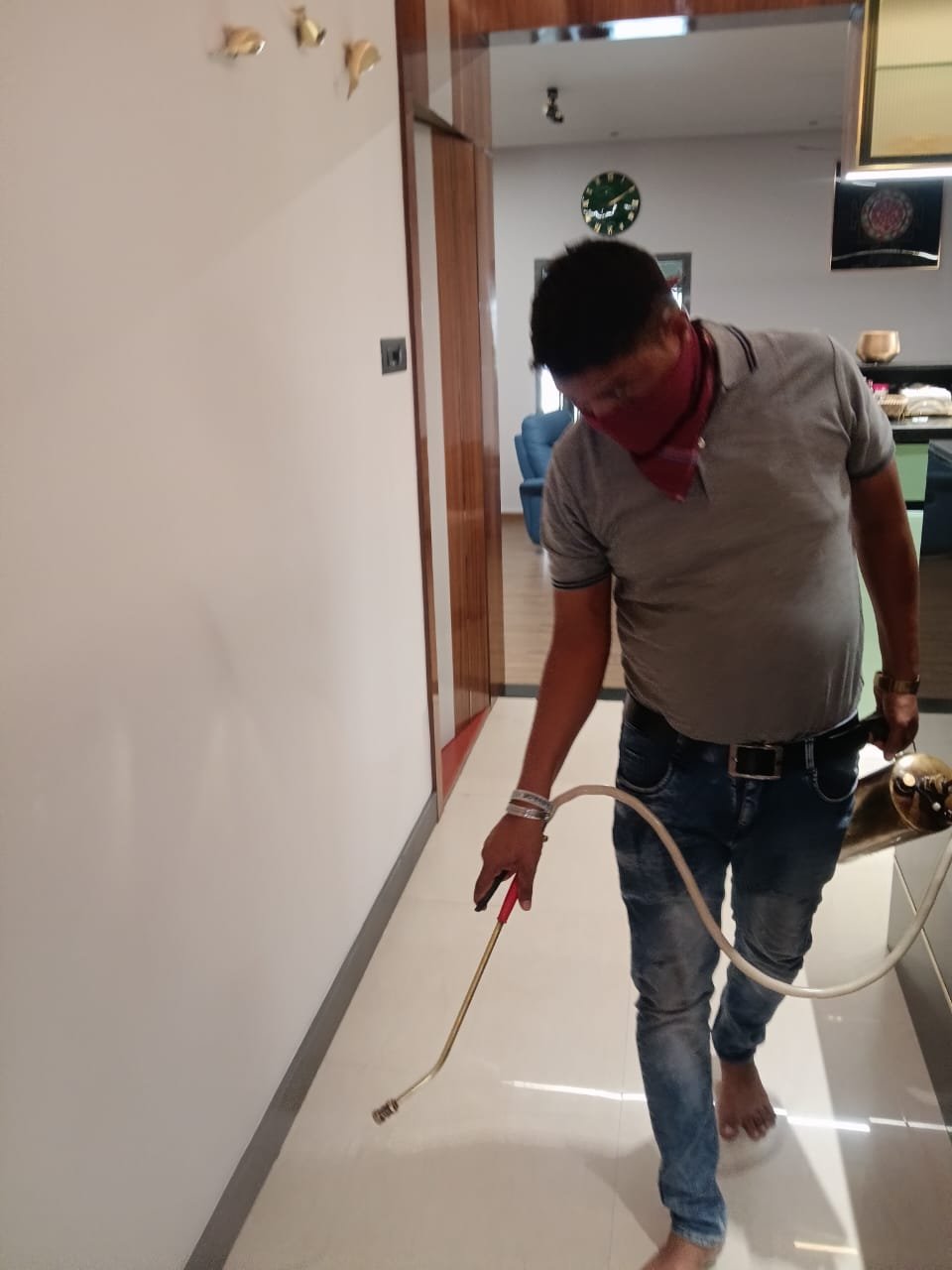 Cockroach Control